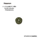 Hapyson ハピソン ソーラーテール用ニッケル水素電池 Ni-MH 40mAh TRQNB40(h) ボタン電池 GP40BVH 後継モデル