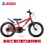 52000OFFݥ󤢤 ̵ۥǥ D-Bike MASTER +DХ ޥ ץ饹14 Ҷ ž