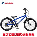 30〜1日最大1000円OFFクーポンあり【送料無料】アイデス D-Bike BM XSTREET(Dバイク ビーエムエクストリート)20インチ 子供用 自転車