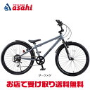 30〜1日最大1000円OFFクーポンあり【送料無料】アイデス D-Bike BM XSTREET(Dバイク ビーエムエクストリート)24インチ 子供用 自転車
