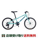 ビアンキ Bianchi PIRATA 20 リパタ 20 2022 スポーツ 子供自転車 20インチ 7段変速 [22 PIRATA 20]