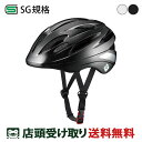 送料無料 店頭受取限定 OGK KABUTO 自転車 大人用ヘルメット・ウェア SN-13 カブト SG基準 SN-13