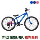 マリン MARIN DONKY JR22 Limited Color ドンキー ジュニア22 限定カラー 2025 スポーツ 子供自転車 22インチ 6歳〜11...