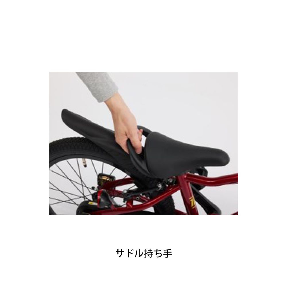 �ڥ����ȥ�å�1���¤�ۻҶ���ž�� �Ļ� D�Х��� D-BIKE Master Fit 16 D�Х��� �ޥ����� �ե��å� 16 16����� D-Bike 2��Ⱦ��6�� [D-BIKE Master Fit 16]