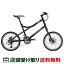 【アウトレット1点限り】ルイガノ LOUIS GARNEAU EASEL9.0 イーゼル9.0 スポーツ自転車 ミニベロ 小径車 20インチ 16段変速 [EASEL9.0]