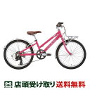 【アウトレット1点限り】スポーツ 子供自転車 ルイガノ J20 プラス BAA トレンドカラー 2024 20インチ LOUIS GARNEAU J20 plu...