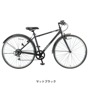 サイクルスポット vitamin bike PLUS ビタミン バイク プラス スポーツ車 700C 6段変速 [vitamin bike PLUS]