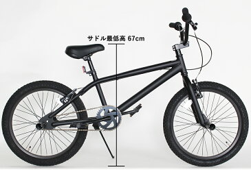 【予約商品 4月下旬入荷予定】BMX 20インチ 自転車 マットブラック 送料無料 9割完成車 トリック ストリート モアノ REI