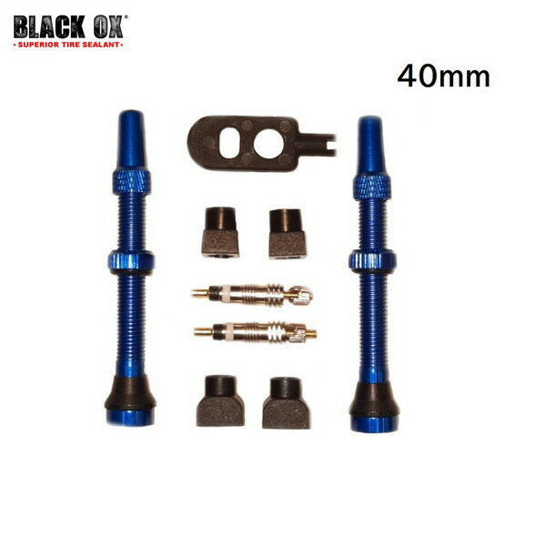 Black OX ブラックオックス TL Valve Kit 40mm Blue チューブレスバルブキット 1