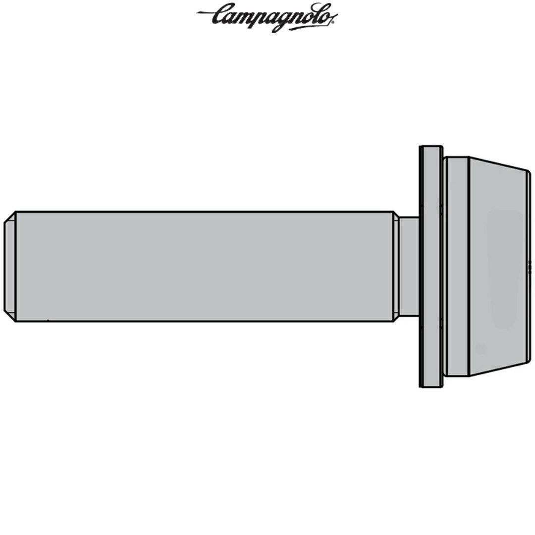 CAMPAGNOLO ѥ˥硼 DB 2x24mm ꥢޥȥܥfor15-19mm 2֥졼 ɥǥ)