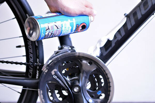 EVERS�ʥ��С����ˡ� ��ž�ִ��������꡼�ʡ�480ml