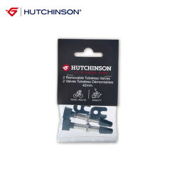 HUTCHINSON ハッチンソン チューブレス用バルブ（2本セット）