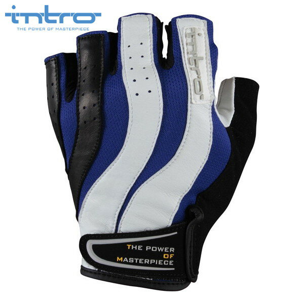 intro　イントロ Trigger2 トリガー2 Blue ハーフフィンガー バイクグローブ その1
