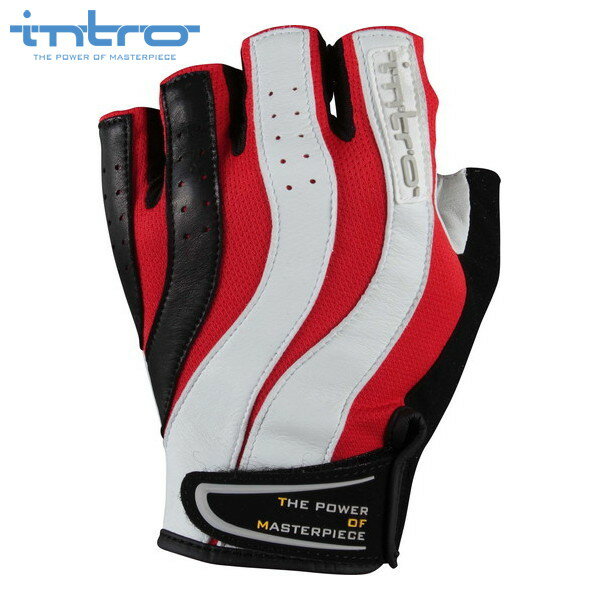 intro　イントロ Trigger2 トリガー2 Red ハーフフィンガー バイクグローブ