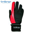 intro イントロ Stealth 3 ステルス3 Red フルフィンガー ウィンター バイクグローブ