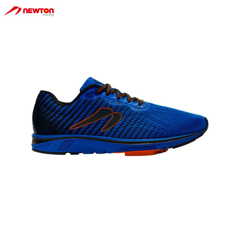 NEWTON j[g Or^X Gravitas 12 - Royal Blue/Black Y jOV[Y