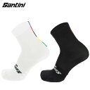 Santini サンティーニ WORLD CHAMPION PROFILE SOCKS 世界チャンピオンプロファイルソックス