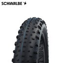 SCHWALBE シュワルベ JUMBO JIM ジャンボジム 26x4.00 Super Ground/ADDIX Speedgrip MTBタイヤ