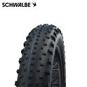 SCHWALBE シュワルベ JUMBO JIM ジャンボジム 26x4.40 Super Ground/ADDIX Speedgrip MTBタイヤ