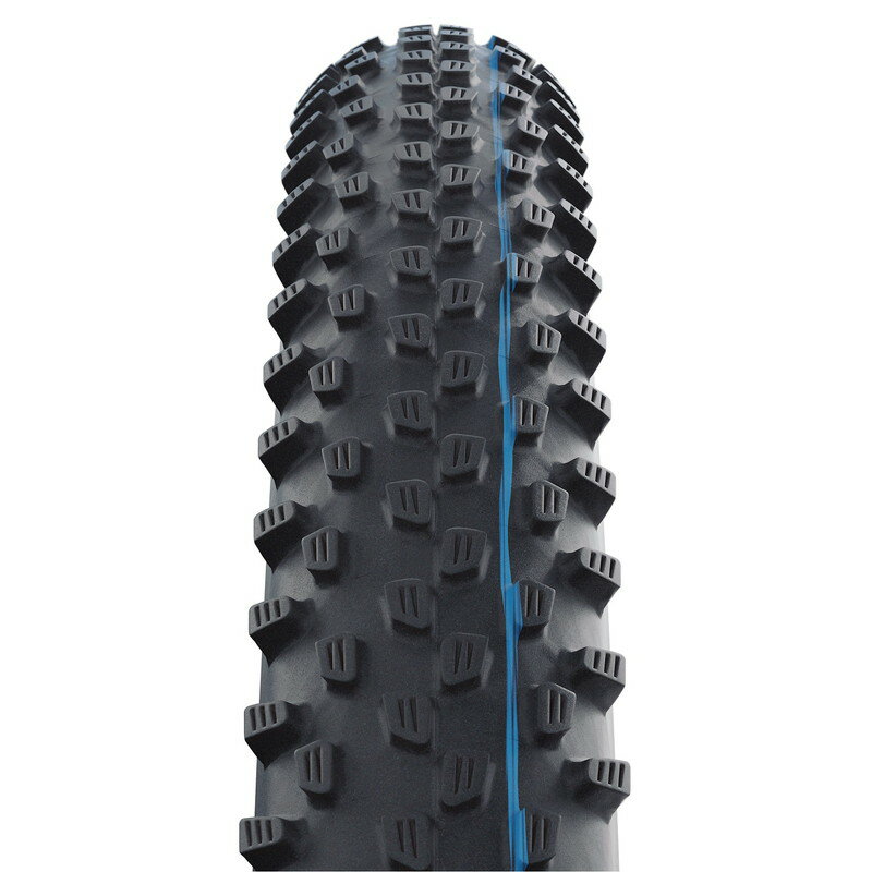 SCHWALBE シュワルベ RACING RAY レーシングレイ 29x2.35 ブラック Super Ground/A...
