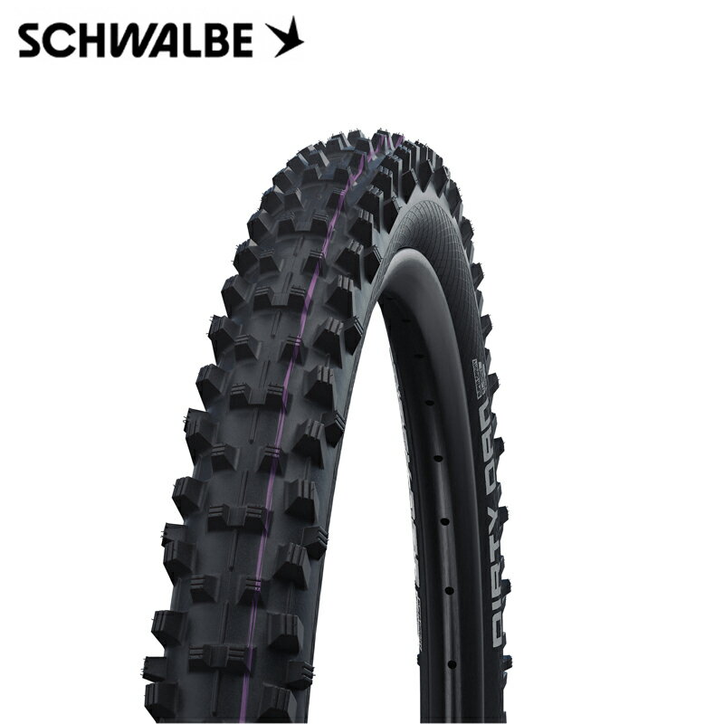 SCHWALBE シュワルベ DIRTY DAN ダーティダン 29x2.35 Super Downhill / ADDIX Ult...