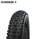 SCHWALBE シュワルベ AL MIGHTY オールマイティ 26x4.80 Super Ground/ADDIX Speedgrip MTBタイヤ