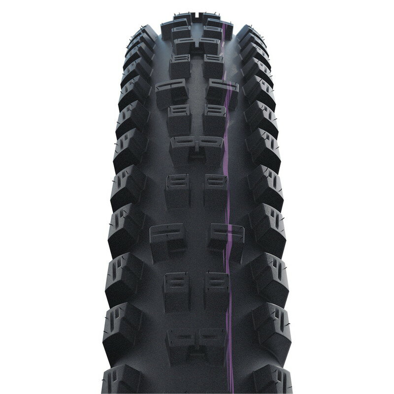 SCHWALBE シュワルベ TACKY CHAN タッキーチェン 29x2.40 Super Downhill / ADDIX ...