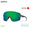 SMITH X~X Wildcat Asia Fit | Frame:Matte Cement | Lens:CP-Green Mirror & Clear TOX