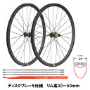 SMITH スミス CeraLight カーボンスポーク リム幅 29mm (内幅22C) ディスクブレーキ仕様 カーボンホイール 前後セット