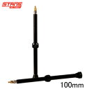 Stan’s NoTubes スタンズノーチューブ VALVE STEM PAIR AL PRESTA 100MM ブラック