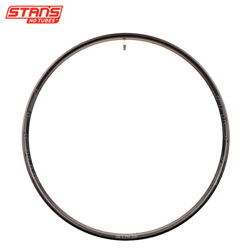 Stans NoTubes 󥺥Ρ塼 RIM FLOW EX3 29 32H BLACK