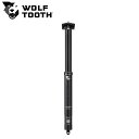 WolfTooth EtgD[X Resolve Dropper Post 31.6mm diameter with 160mm travel hbp[|Xg