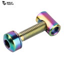 WolfTooth ウルフトゥース Seatpost Clamp Titanium Bolt OIL SLICK ボルト(4)
