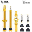 WolfTooth ウルフトゥース Tubeless Valve Stem Kit チューブレス バルブステムキット 60mm Gold