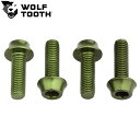 WolfTooth ウルフトゥース Water Bottle Cage Bolts ボトルケージボルト Olive