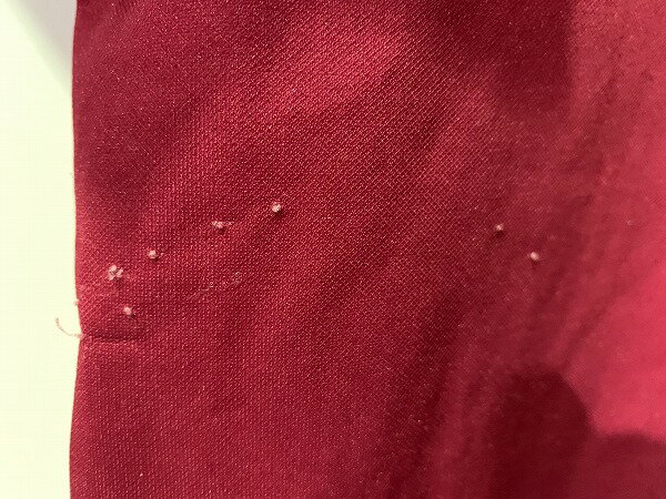 �ȥåץ� Ⱦµ���㡼�� STAINLESS Ⱦµ�ϡ��ե��åץ��㡼�� L������ - ���