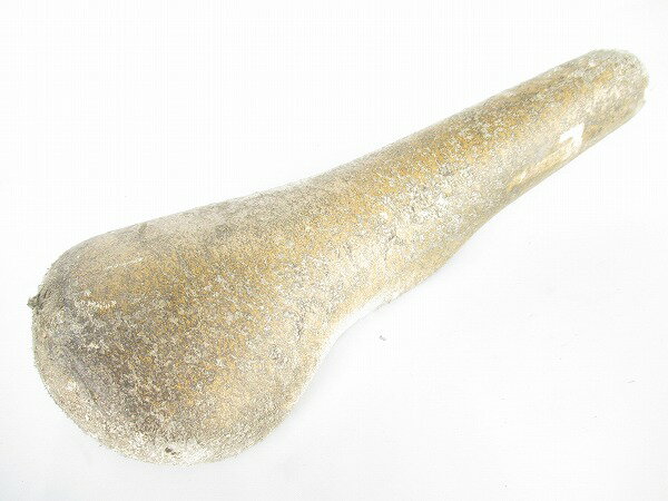サドル カシマ サドル　FIVEGOLD　※状態悪 - 中古