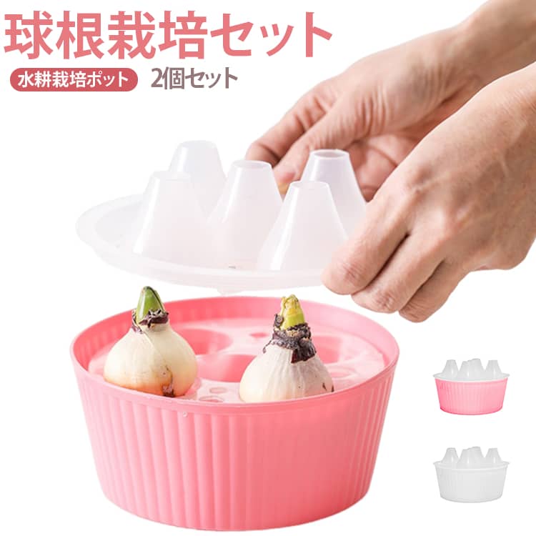 2個セット 水仙 えバスケット ポット 球根 ヒヤシンス 球根栽培セット 三孔設計 花...