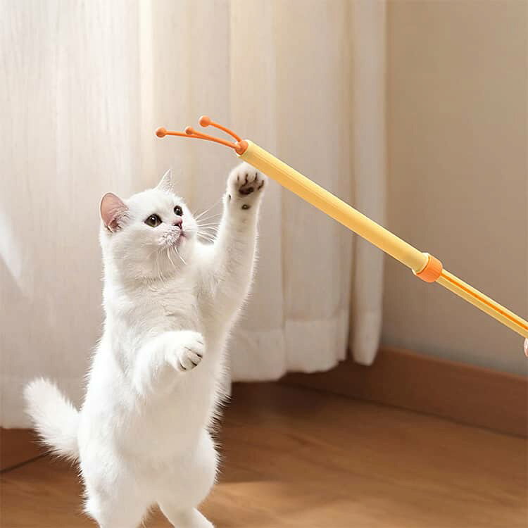 ペット用 伸縮 孫の手 おもちゃ ペットブラシ 面白い マッサージブラシ 犬 二役 猫...