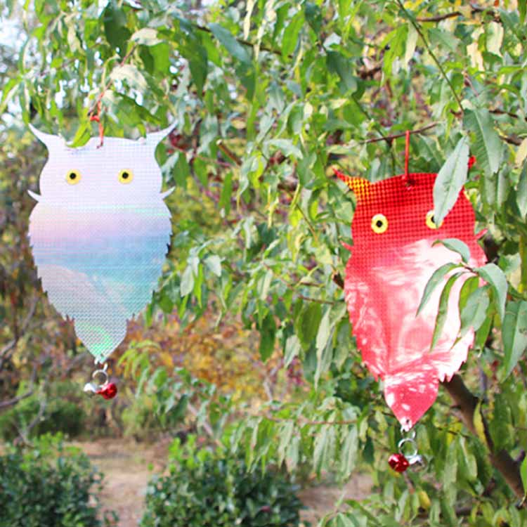 2�祻�å� Ļ�褱 ȷ�褱 ���饹�褱 ���饹 ���� �ϥȤ褱 �ե�������Ļ�褱 �ե������� �դ����� ���饹���� ���饹�к� ȷ Ļ���� Ļ�к� ��Ļ �ե� Ļ���к� ʵ���ɻ� ���餹�褱 Ļ�褱ȷ�褱 �ĥХ�褱 ȷ�褱 ȷ��� ���饹���� ȷ���� ���饹��