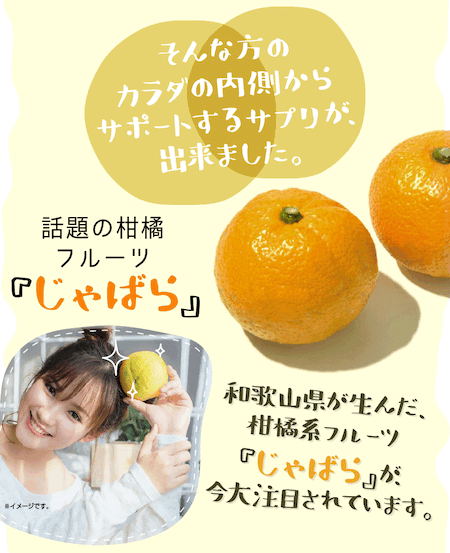 長寿長野県健康館 楽天市場店のじゃばら ジャバラ healthylife JABARA GUARD -じゃばらガード- 【 お得な2袋セット(1袋360粒入 約6ヶ月分×2)】サプリメント タブレット 粒 大容量　ジャバラ加工食品｜アングル3