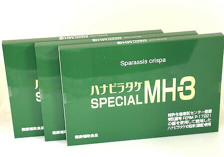 ハナビラタケ SPECIAL MH-3 【お得な3個