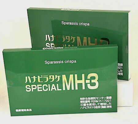 ハナビラタケ SPECIAL MH-3 【お得な2個