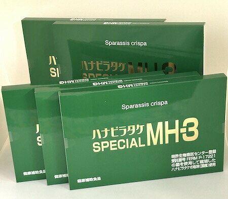 ハナビラタケ SPECIAL MH-3 【お得な5個