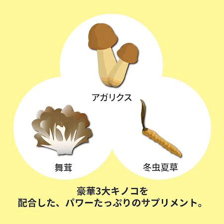 アガリクス 冬虫夏草 舞茸 細粒タイプ サプリメント 健康補助食品 アガリクス加工食品【アガリクスエキス】1箱60袋入 約20日分 松浦薬業 β-グルカン キノコ 残留農薬試験済み 国内製造 日本製 とうちゅうかそう トウチュウカソウ まいたけ マイタケ cyoju-10000867 長寿長野県健康館 楽天市場店 サンプル画像3