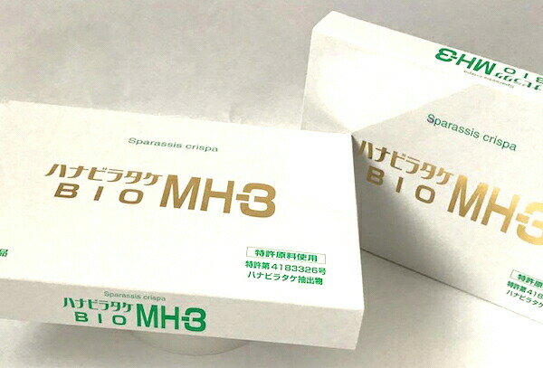 楽天長寿長野県健康館　楽天市場店ハナビラタケ BIO MH-3【お得な2個セット（1箱 320mg×60カプセル×2）】サプリメント クリックポスト発送 ミナヘルス製 はなびらたけ サプリ 東京BIOMEDICALS ハナビラタケ MH-3 βグルカン ベータグルカン含有