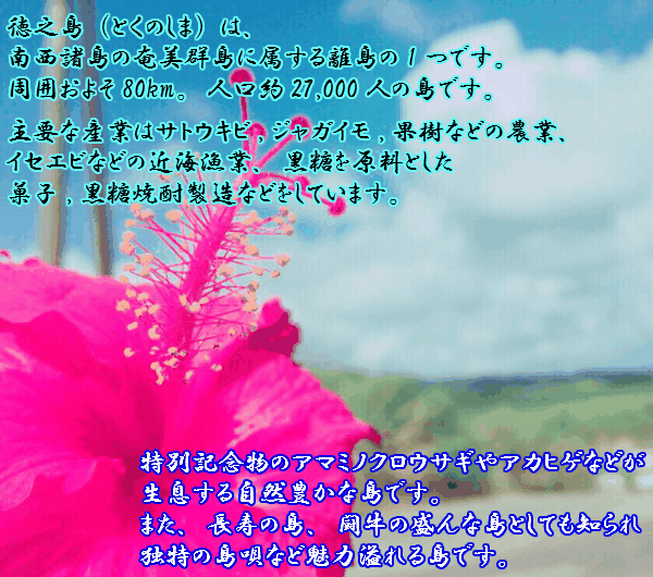 thum3
