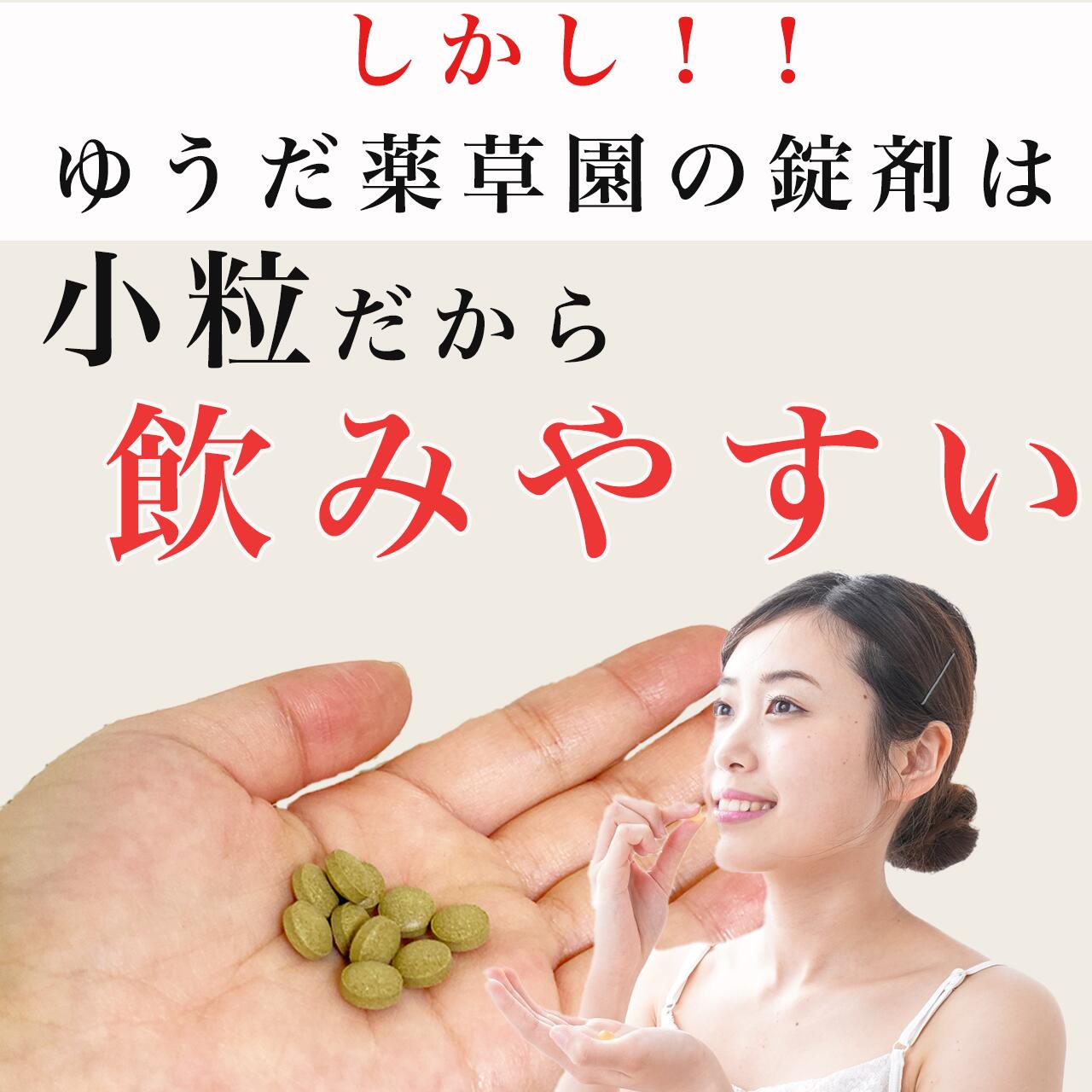 長命草錠剤1袋62錠入りボタンボウフウ送料無料小粒だから飲みやすい