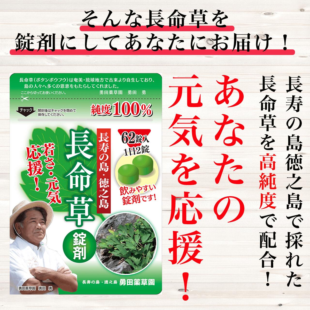 長命草錠剤1袋62錠入りボタンボウフウ送料無料元気応援