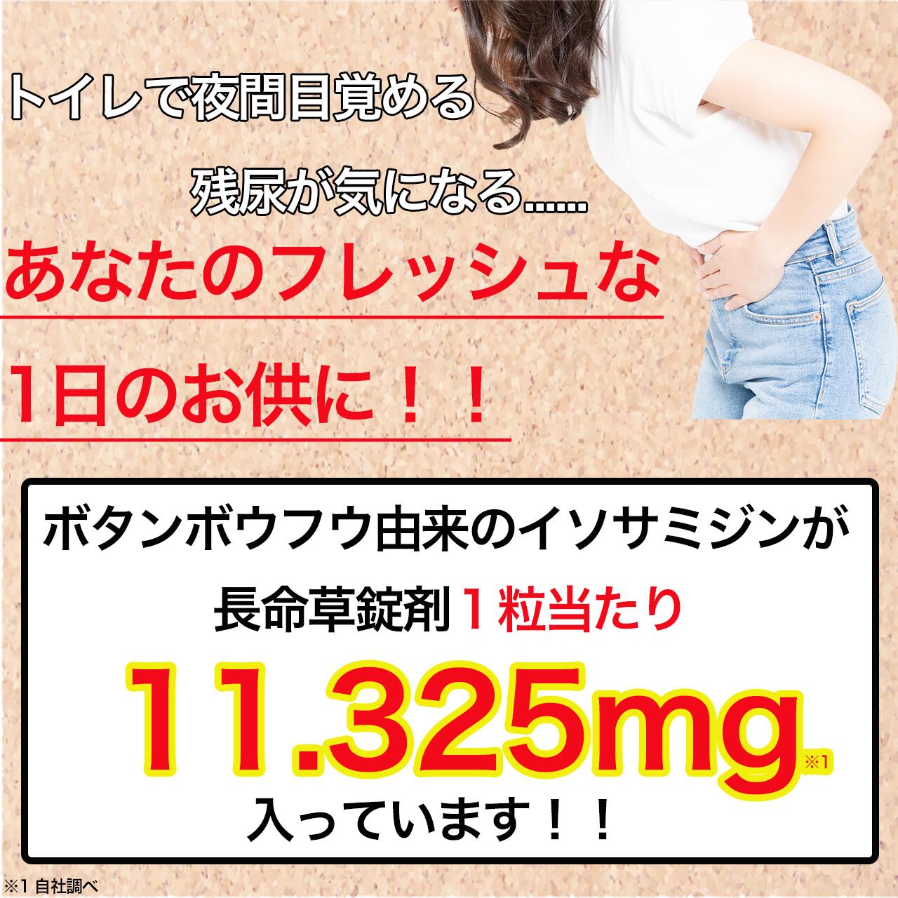 長命草サプリメント錠剤1袋62錠入りボタンボウフウ送料無料サプリ飲みやすい小粒タイプ